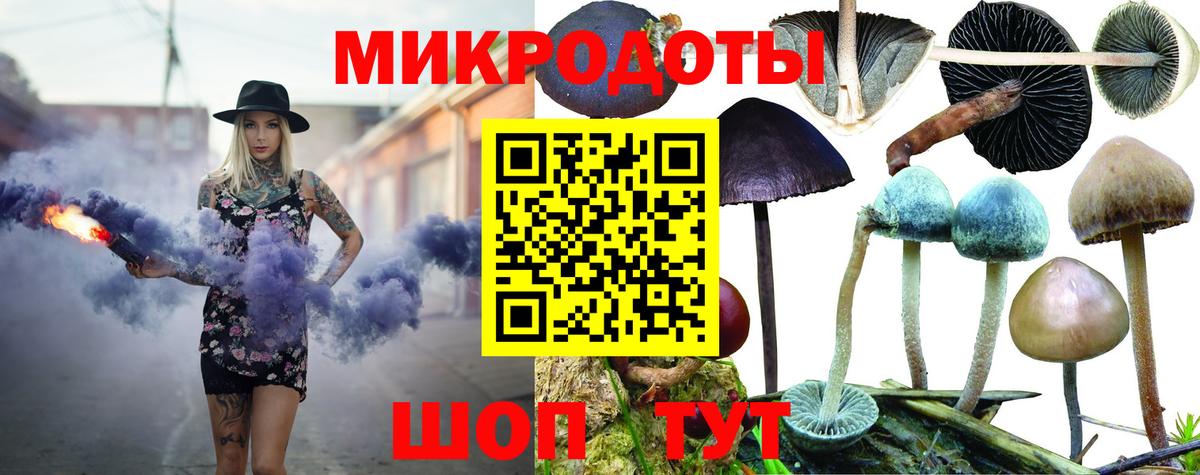 Галлюциногенные грибы Psilocybe Горячий Ключ