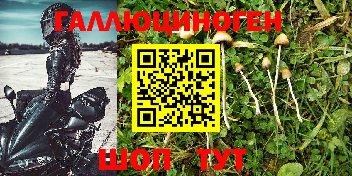 Галлюциногенные грибы GOLDEN TEACHER  Псилоцибиновые грибы Psilocybe  Вход с VPN  Горячий Ключ 